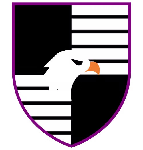 MOLASZICO F C